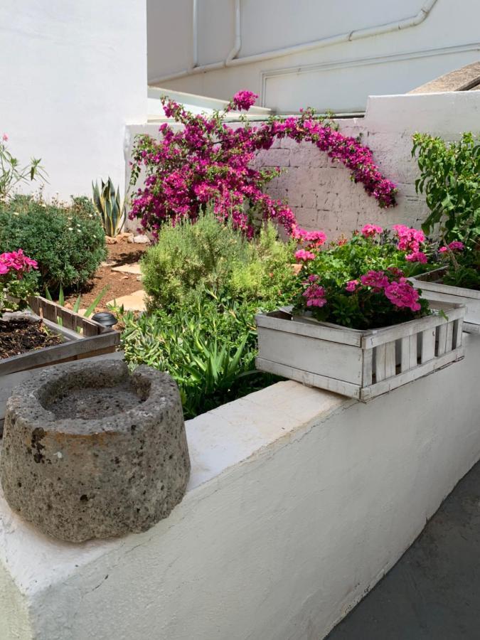 Le Cummerse In Centro 알베르벨로 외부 사진